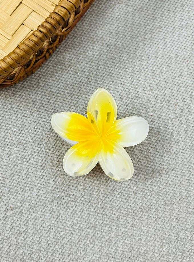 کلیپس پلیمری